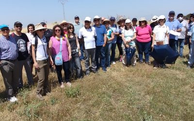 Visita guiada por «Primitiva Complutum – Alto Imperial» en el Monte del Viso, con Sandra Azcárraga.